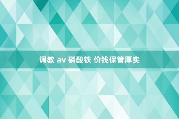 调教 av 磷酸铁 价钱保管厚实