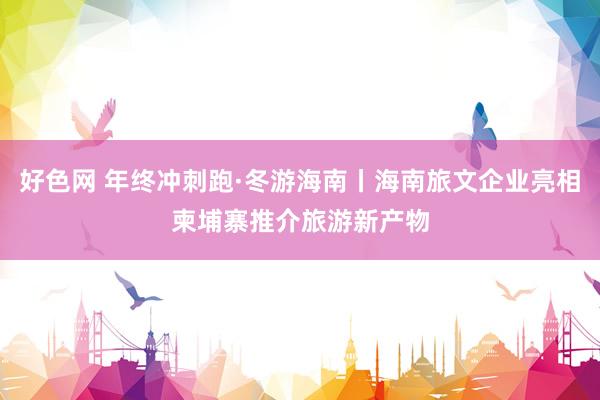好色网 年终冲刺跑·冬游海南丨海南旅文企业亮相柬埔寨推介旅游新产物