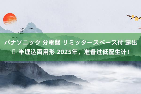 パナソニック 分電盤 リミッタースペース付 露出・半埋込両用形 2025年，准备过低配生计！