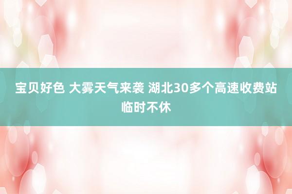 宝贝好色 大雾天气来袭 湖北30多个高速收费站临时不休