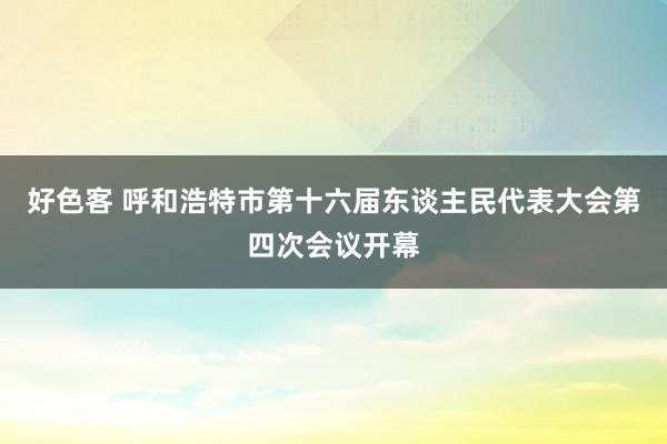 好色客 呼和浩特市第十六届东谈主民代表大会第四次会议开幕