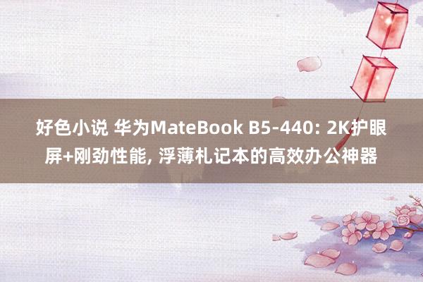 好色小说 华为MateBook B5-440: 2K护眼屏+刚劲性能， 浮薄札记本的高效办公神器