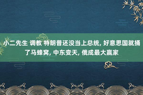 小二先生 调教 特朗普还没当上总统， 好意思国就捅了马蜂窝， 中东变天， 俄成最大赢家