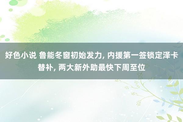 好色小说 鲁能冬窗初始发力， 内援第一签锁定泽卡替补， 两大新外助最快下周至位