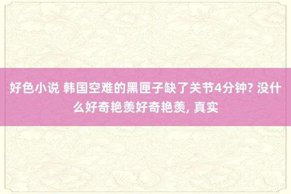 好色小说 韩国空难的黑匣子缺了关节4分钟? 没什么好奇艳羡好奇艳羡， 真实