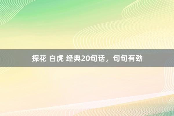 探花 白虎 经典20句话，句句有劲