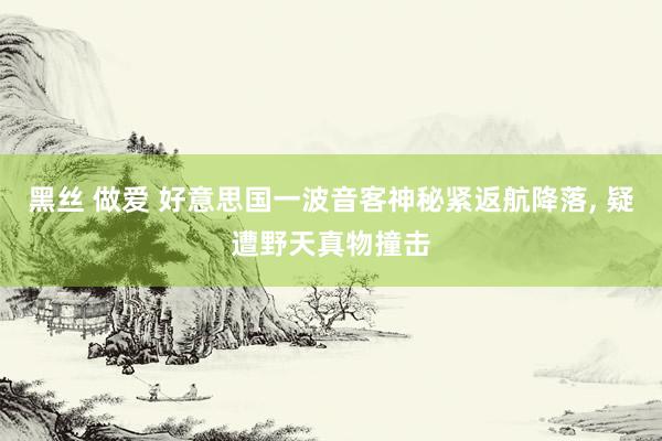 黑丝 做爱 好意思国一波音客神秘紧返航降落， 疑遭野天真物撞击